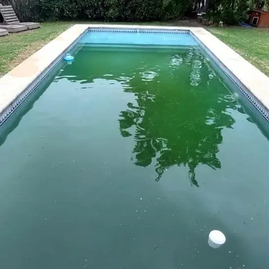 Estado inicial de piscina con agua verde antes de la recuperación.