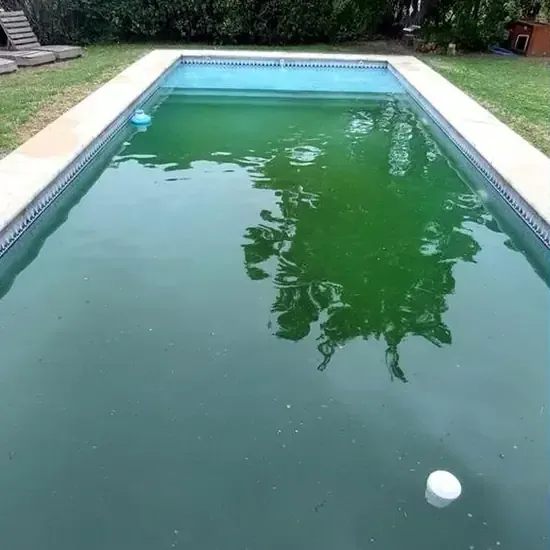 Estado inicial de piscina con agua verde antes de la recuperación.